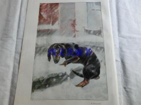 【现货 包邮】1890年彩色平板印刷画《流浪的狗》（Der Verlorene Sohn）尺寸约41*29厘米（货号18020）