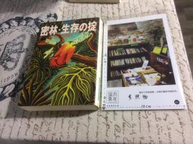 日文原版：密林 生存の掟 　【存于溪木素年书店】