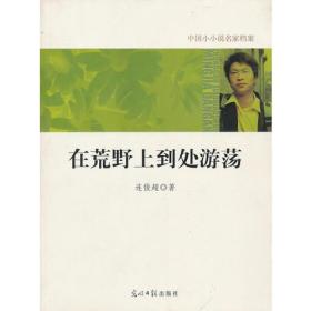 中国小小说名家档案·在荒野上到处游荡