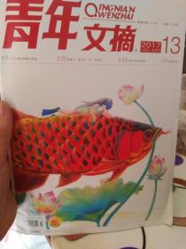 青年文摘 2017年七月上 半月刊 13