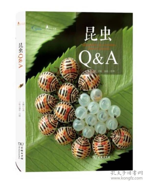 昆虫Q&A