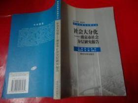 社会大分化： 南京市社会分层研究报告