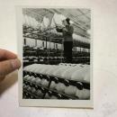 1981年新华社老照片：上海石化总厂努力增产化纤1 背面有说明 地点：为我国提供涤纶、维纶等纺织原料的上海石化总厂