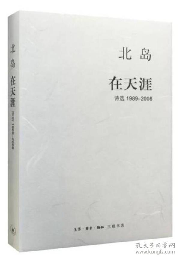 在天涯：诗选1989—2008