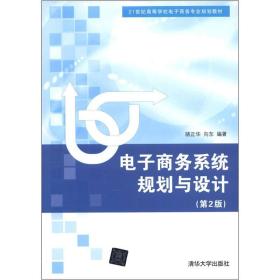 电子商务系统规划与设计（第2版）/21世纪高等学校电子商务专业规划教材