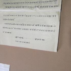 甘肃镇原县杨氏族谱（长16开，毛笔字原稿未完工，字很漂亮）