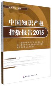 中国知识产权指数报告（2015）