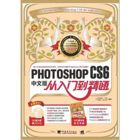 二手正版PHOTOSHOPCS6从入门到精通中文版丁伟钟中国青年出版社
