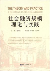 社会融资规模理论与实践