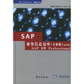 SAP业务信息仓库（专业版）