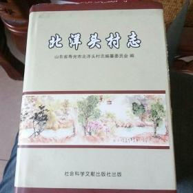 寿光市北洋头村志(外套如图，内页完好)