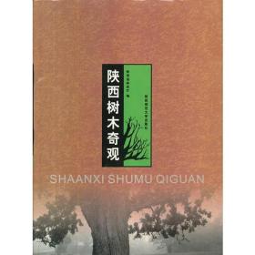 陕西树木奇观