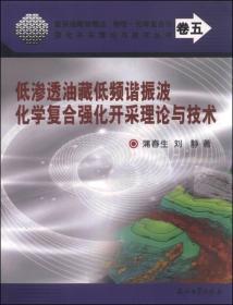 低渗透油藏低频谐振波化学复合强化采理论与技术