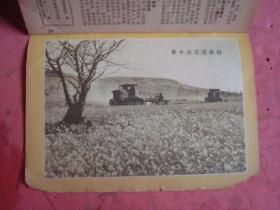 1963年 半月刋《时事手册》（第2—13期）【11本合卖】【封面画漂亮】【稀缺本】