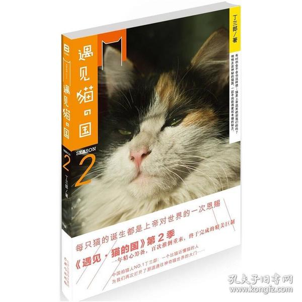 遇见·猫的国 第2季