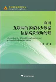 面向互联网的多媒体大数据信息高效查询处理