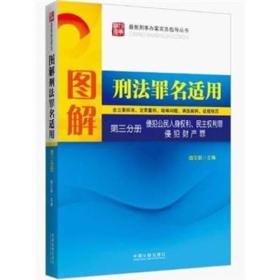 图解刑法罪名适用（第3分册）侵犯公民人身权利、民主权利罪、侵犯财产罪