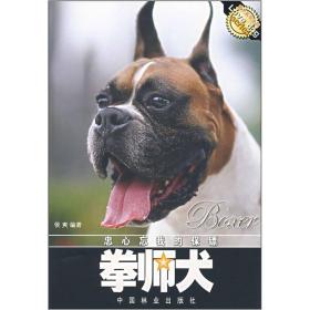 忠心忘我的保镖：拳师犬