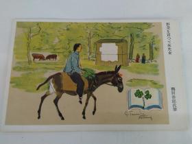 《军事邮便绘图明信片——（民俗）卖野菜归来的骑驴村妇》