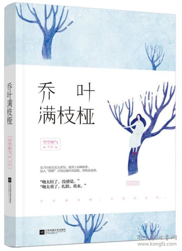 乔叶满枝桠 空空如气 江苏文艺出版社