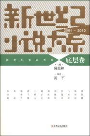 新世纪小说大系（2001-2010）：底层卷