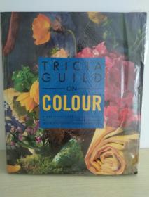 TRICIA GUILD ON COLOUR（崔茜卡颜色公会）