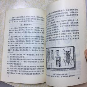 有趣的生物标本制作