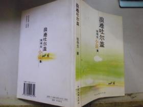 浪迹吐尔盖