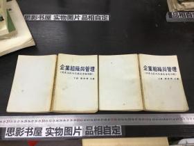 企业组织与管理（附基本范例及历届考题详解）【上下册】32104