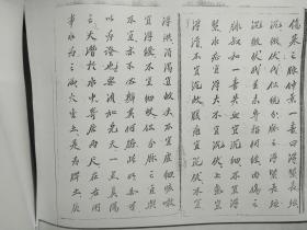 脉诀精微手抄本 复印件 (孔网唯一 非喜勿拍)著名鹤拳武医名家手抄本