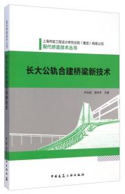现代桥梁技术丛书：长大公轨合建桥梁新技术