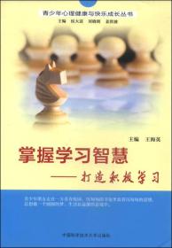 青少年心理健康与快乐成长丛书：掌握学习智慧：打造积极学习