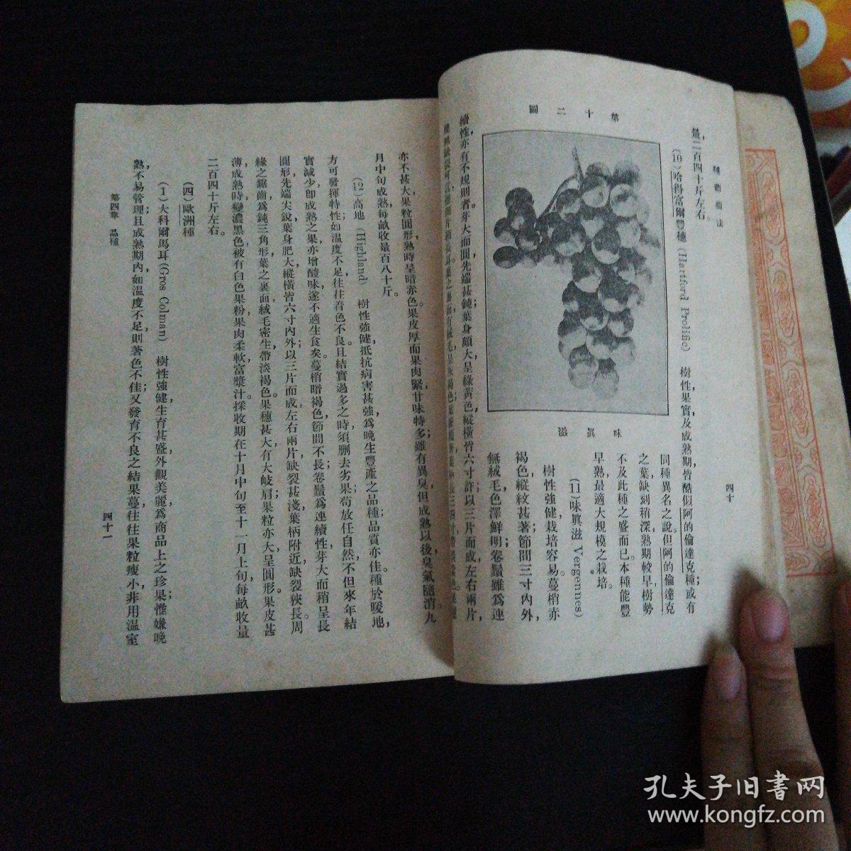 种葡萄法（万有文库第一集一千种）【小32开 中华民国十八年初版】
