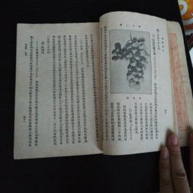 种葡萄法（万有文库第一集一千种）【小32开 中华民国十八年初版】