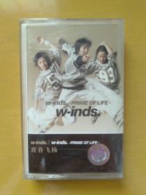 W-inds.ー《青春飞扬prime of life》