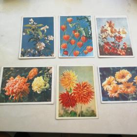 50年代俄文（花卉）明信片（用过）6张全
