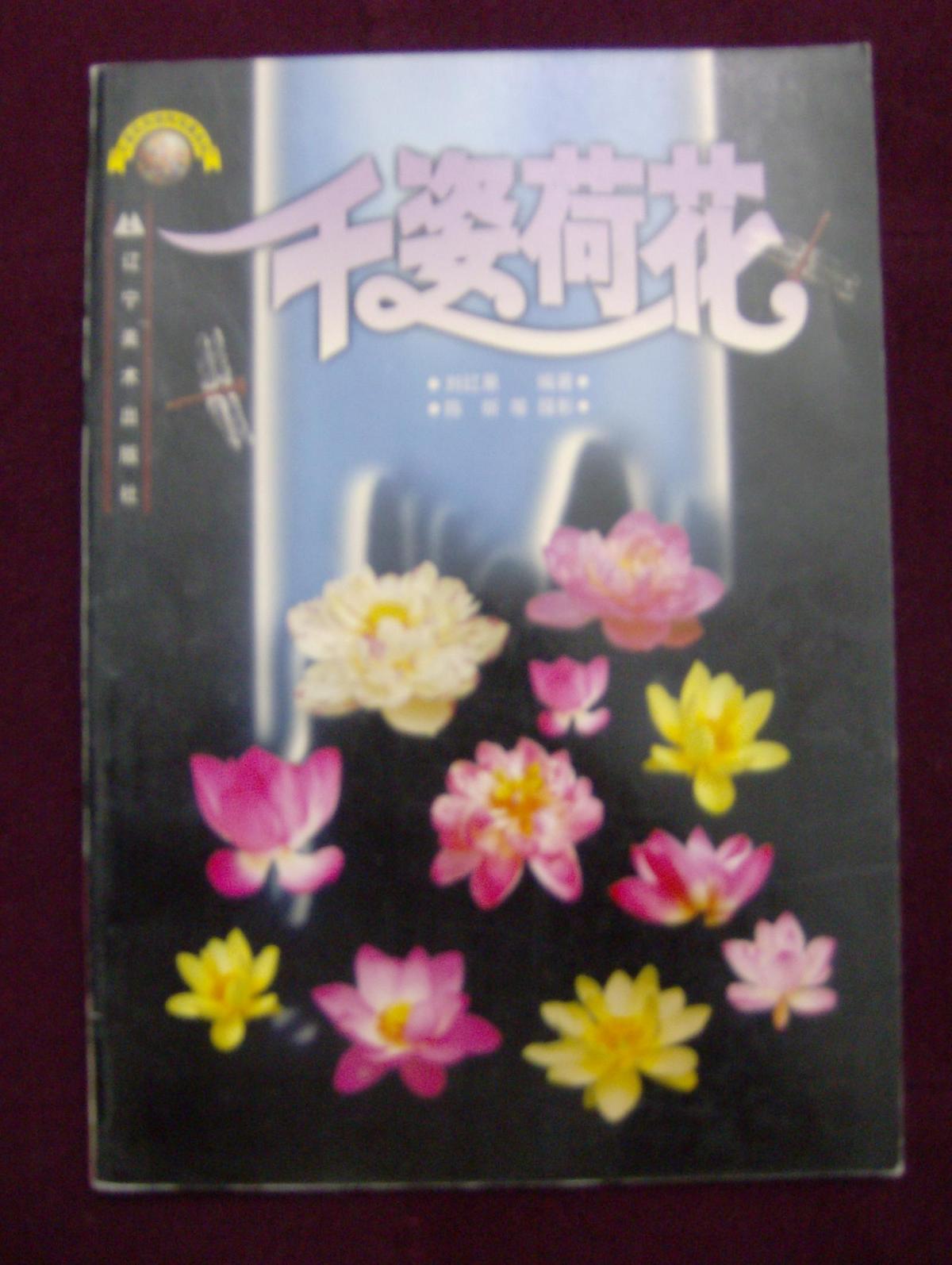 千姿花卉結(jié)構(gòu)寫真系列——千姿荷花