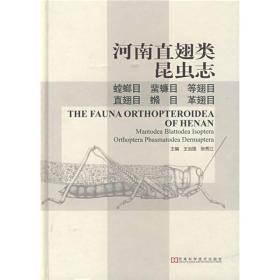 河南直翅类昆虫志：螳螂目 蜚蠊目 等翅目 直翅目 革翅目 竹節蟲目