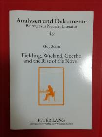 Fielding, Wieland, Goethe and the Rise of the Novel （菲尔丁、维兰德、歌德与小说的兴起）