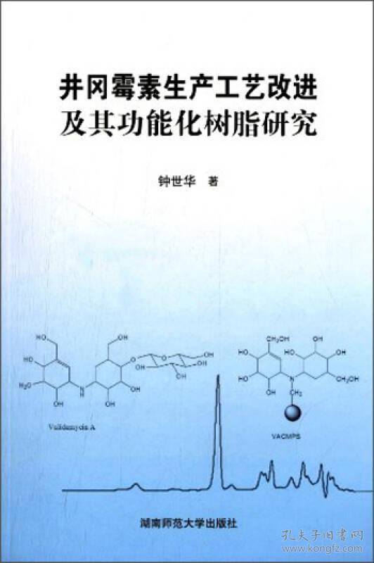 井冈霉素生产工艺改进及其功能化树脂研究