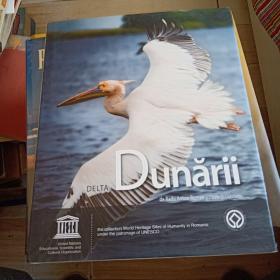 DUNARII DE RADU ANTON ROMAN 精装外文摄影画册 有英文和别的文字对照 有联合国教育科学及文化组织中外文