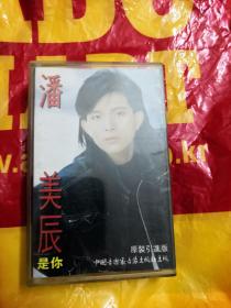 《是你》潘美辰