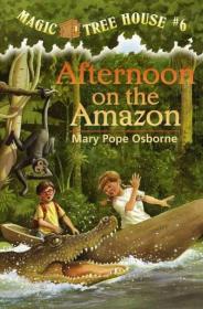 Afternoon on the Amazon (Magic Tree House #6)神奇树屋系列6：亚马逊的下午 英文原版