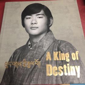 A King Of DeStiny（原版精装）