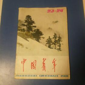 中国青年。1981。23-24期