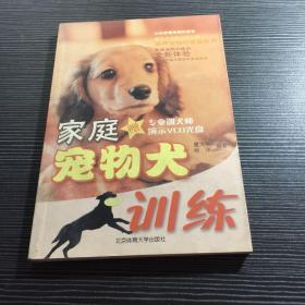 家庭宠物犬训练