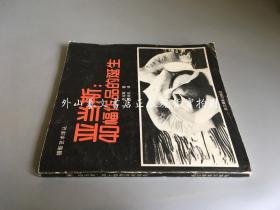 亚当斯：40幅作品的诞生 （摄影艺术译丛  一版一印）