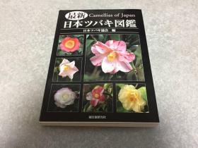 最新 日本ツバキ図鑑  最新日本茶花图鉴  约16开   359页   品好包邮