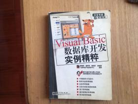 Visual Basic数据库开发实例精粹—开发专家之数据库