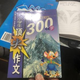 小学生顶尖作文300字